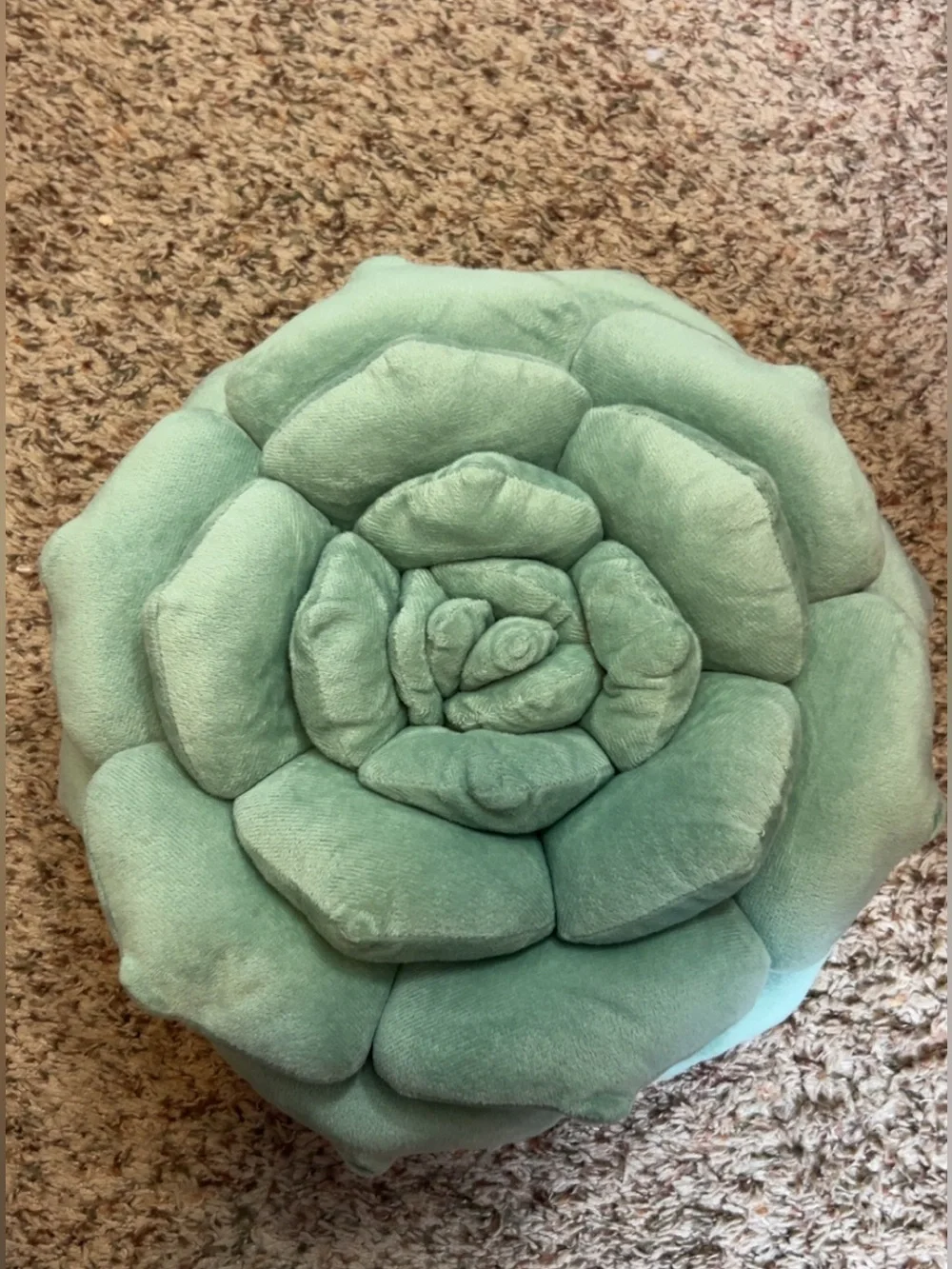 Audacious Hippo soft audacious